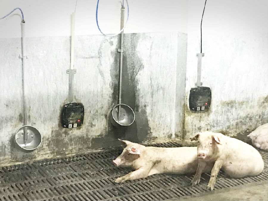 RFID智能化猪用碗式饮水.jpg