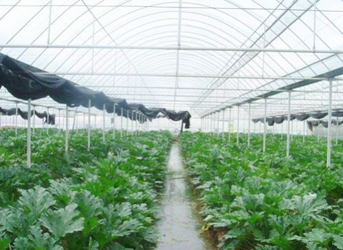 2017-03-29物联网技术应用在农业2.png 恺易物联网深度解析温室大棚环境智能监控系统