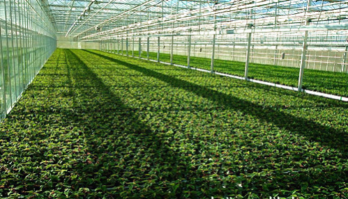 2017-03-29物联网技术应用在农业3.png 恺易物联网深度解析温室大棚环境智能监控系统