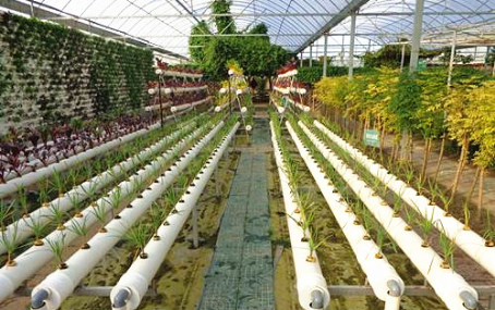 2017-03-29物联网技术应用在农业4.png 恺易物联网深度解析温室大棚环境智能监控系统