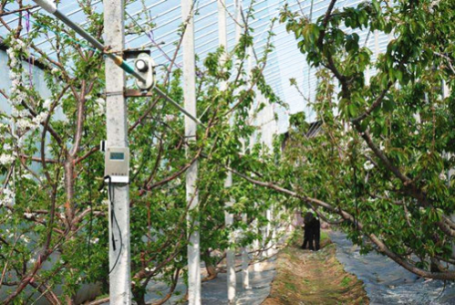 2017-03-29物联网技术应用在农业7.png 恺易物联网深度解析温室大棚环境智能监控系统